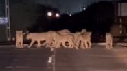 Lions in Gujarat Video: Pride of Big Cat Halts Traffic on Highway in Amreli