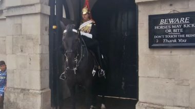 UK King’s Guard Horse Bites Tourist After She Stood Next to the Animal for a Photo Outside The Household Cavalry Museum in London, Watch Viral Video