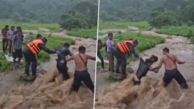 Navi Mumbai Rains: Group of Picnickers Rescued From Hill in Belapur Amid Heavy Rains (Watch Video)