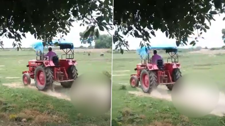 Uttar Pradesh: Cattle Seen Being Dragged by Speeding Tractor in Unnao, Police Say Not Linked to Local Gaushala (Disturbing Video)