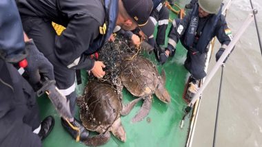 Indian Coast Guard Rescues Entangled Two Olive Ridley Turtles off Coast of West Bengal (Watch Video)