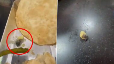 Hyderabad: Man Finds Dead Worm in Curry at Shri Raghavendra Hotel in Gaddi Annaram, Disgusting Video Surface