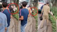 Shimla Brawl Video: Man Thrown Down Cliff As Clash Over Vehicle Passing Between Tourists Escalates; Disturbing Video Surfaces