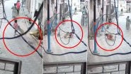 Monkey Menace in Mathura: Monkeys Attack 5-Year-Old Child in Uttar Pradesh, Shocking Video Surfaces