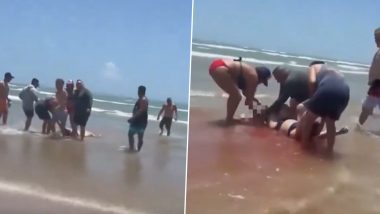 Shark Attacks Four People at South Padre Island in Texas During Fourth of July Celebration, Viral Videos Show Beachgoers ‘Severely’ Bitten and Covered in Blood