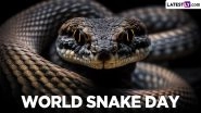 World Snake Day 2024 Date and Theme: Know the Significance of the Day That Highlights the Need To Protect and Conserve the Slithering Reptiles