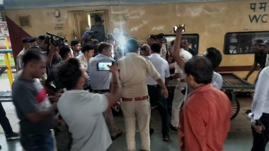 Madhya Pradesh CM Mohan Yadav Arranges Special AC Train for Injured Tiger Cubs From Sehore District to Bhopal (See Pics)