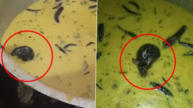 Hyderabad: Rat Found Alive in Chuteny Served in JNTUH Hostel Mess, Disgusting Video Surfaces