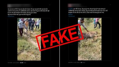 ‘Drunk’ Leopard Seen Strolling Casually With Ajmer Villagers? Old Video of Big Cat Goes Viral Again Wth Fake Claim, Here’s a Fact Check