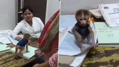 Uttar Pradesh: 6 Nurses Suspended After Video Showing Them Playing With Monkey on Duty Goes Viral in Bahraich