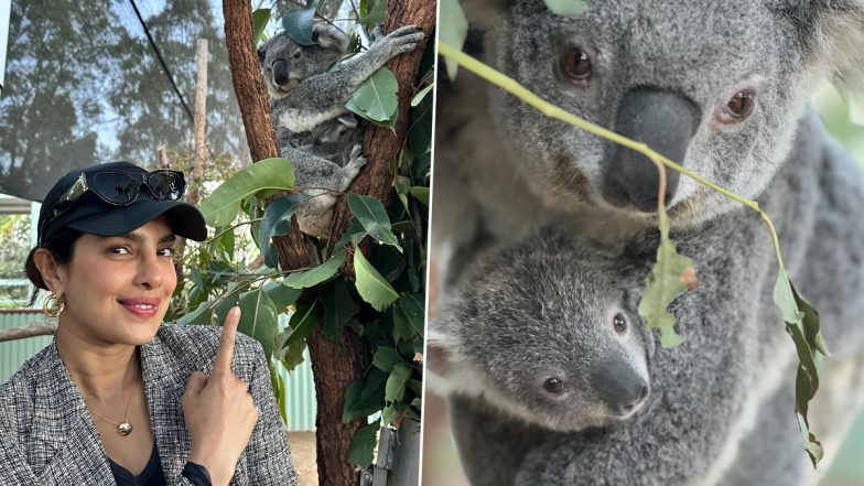 Priyanka Chopra Poses Alongside Koala Named After Her in Australian Homestead; Check Out Adorable Photos and Videos From Her Visit!