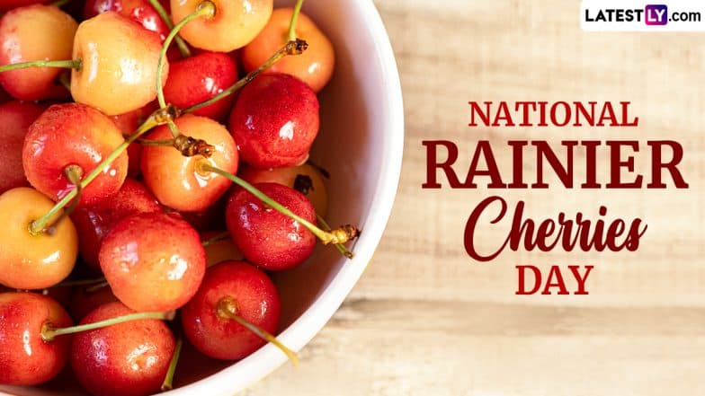 National Rainier Cherry Day 2024: Rich in Antioxidants, Excellent ...