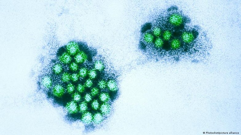 Highly Contagious Norovirus Stomach Bug Hits Italian Village