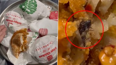 Dead Insect Found in Burger King Order? Food Blogger Finds Insect in Veggie Burger Patty Ordered From Mumbai-Based Joint, Shares Video on Instagram