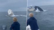 Whale Attack Caught on Camera in US: Humpback Whale Destroys Boat Throwing 2 Fishermen Into Water off New Hampshire, Terrifying Video Surfaces