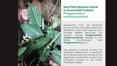 Phlogacanthus Sudhansusekharii: New Plant Species Found in Arunachal Pradesh’s Itanagar Wildlife Sanctuary, Named To Honour Dr Sudhansu Sekhar Dash