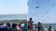 US: Dragonflies Invade Misquamicut Beach in Rhode Island, Force People To Flee; Video of Supersized Insects ‘Taking Over’ Beach Surfaces