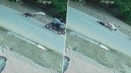 Chain Snatching Caught on Camera in Ghaziabad: Two Bike-Borne Miscreants Snatch Woman’s Chain in Broad Daylight in Indirapuram, CCTV Footage Surfaces