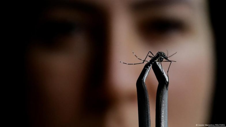 Death in Brazil: What is Oropouche Fever?