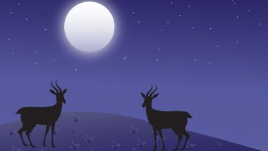 What Is Buck Moon? All You Need to Know About July Full Moon