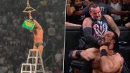 WWE Money in the Bank 2024 Results: Drew McIntyre Wins Men's Ladder Match, Fails to Cash-In Moments Later After CM Punk Intervenes (Watch Videos)