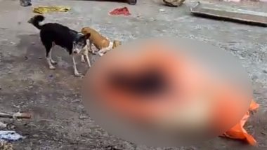 Jhansi: Stray Dogs Feed on Dead Body at Postmortem House, Disturbing Video Goes Viral