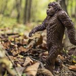 Bigfoot Spotted in US? Young Campers Call 911 After Seeing ‘Mythical Creature With Glowing Eyes’ in Louisiana’s Kisatchie National Forest, Nothing Suspicious Found