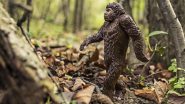 Bigfoot Spotted in US? Young Campers Call 911 After Seeing ‘Mythical Creature With Glowing Eyes’ in Louisiana’s Kisatchie National Forest, Nothing Suspicious Found