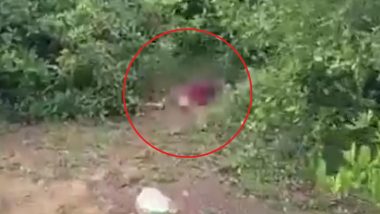 Andhra Pradesh Horror: Labourer Under Influence of Ganja Lures 8-Year-Old Girl to Forest, Rapes and Kills Her in Tirupati; Probe Launched (Watch Videos)