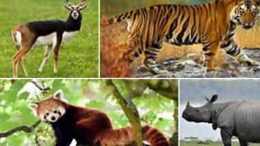 India Becomes First Country To Make Checklist of Entire 1,04,561 Fauna Species, Becomes Global Leader in Biodiversity