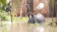 India News | Assam's Kaziranga National Park Still Flooded, Animals Move Towards Karbi Anglong Hills