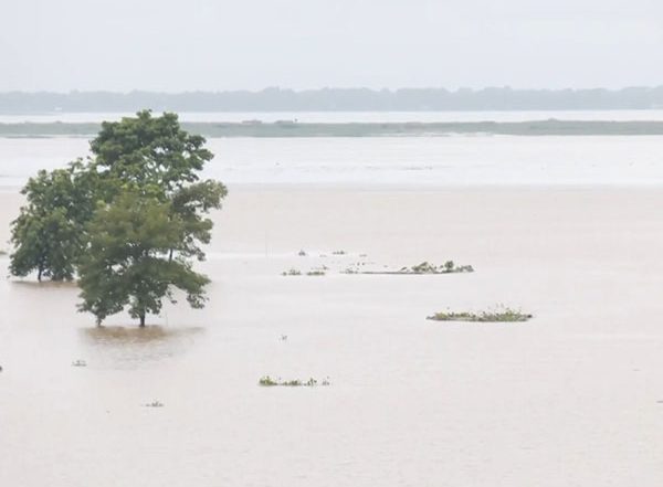 India News | Floods in Assam Claim 46 Lives as Situation Remains Critical Affecting over 16 Lakh People