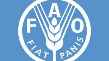 World News | Global Cereal Output Seen Hitting All-time High in 2024