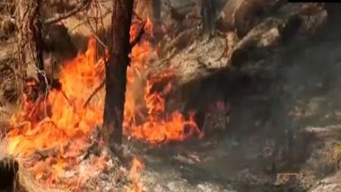 India News | J-K: Udhampur Forest Division to Plant 1.1 Lakh Saplings to Restore Greenery After Recent Fires