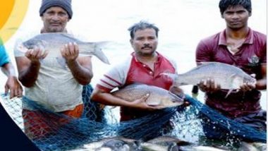 India News | Gujarat to Observe National Fish Farmers Day Celebrations in Anand, Ukai