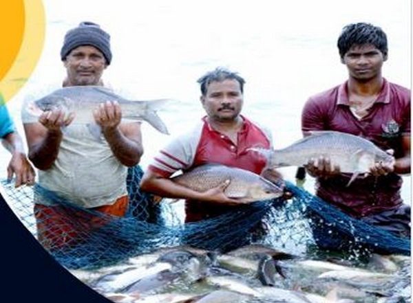 India News | Gujarat to Observe National Fish Farmers Day Celebrations in Anand, Ukai