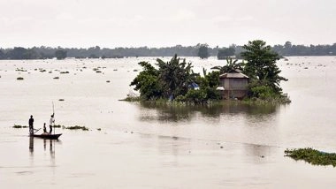 India News | Assam Floods: 159 Wild Animals, Including 9 Rhinos Dead in Kaziranga National Park