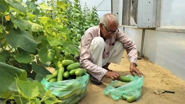 India News | J-K: Polyhouse Farming Revolutionizes Crop Yields in Udhampur Under Govt's HADP Initiative