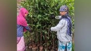 Business News | Adani Group to Give 11 Lakh Saplings for Indore, Madhya Pradesh, as Part of Its Pledge to Plant 100 Million Trees