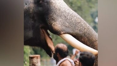 India News | MoS Suresh Gopi Thanks Tripura CM for Timely Delivery of Queen Pineapples to Kerala