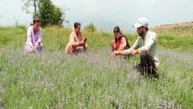 India News | Five Lakh Lavender Plants Cultivated in J-K's Udhampur