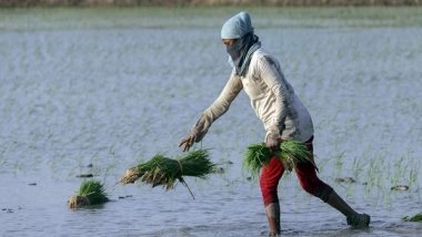 Business News | Economic Survey 2023-24 Shows Agricultural Credit Increased Nearly 1.5 Times During Financial Year 2024