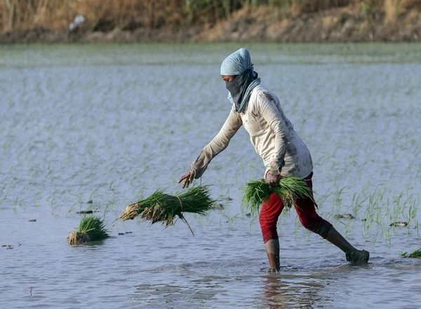 Business News | Economic Survey 2023-24 Shows Agricultural Credit Increased Nearly 1.5 Times During Financial Year 2024