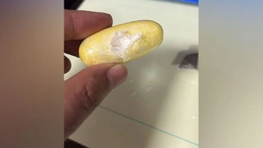 India News | CBI Detains German National at Delhi Airport with 6 Kg Cocaine