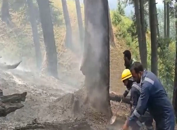 India News | J-K: Fire in Kupwara Forest Doused off