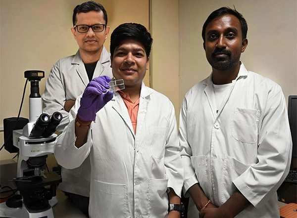 India News | IIT Guwahati Researchers Use Microfluidics to Study How Primary Roots Absorb Nutrients to Boost Crop Yield