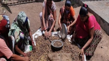 India News | Over 2.79 Lakh Self-help Groups in Gujarat Support 27 Lakh Families: Officials