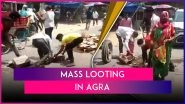 Mass Looting in Agra: Video of Residents From Etmadpur Looting 30 Crates of Liquor Spilled From Delivery Vehicle Goes Viral