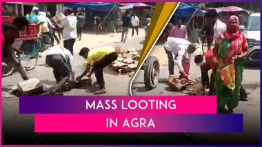 Mass Looting in Agra: Video of Residents From Etmadpur Looting 30 Crates of Liquor Spilled From Delivery Vehicle Goes Viral