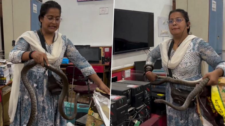 Snake Rescuer Ajita Pandey, Gently and Calmly Rescues Snake From DLS PG College's Office Premises in Chhattisgarh, Daring Stunt Captured in Video Goes Viral